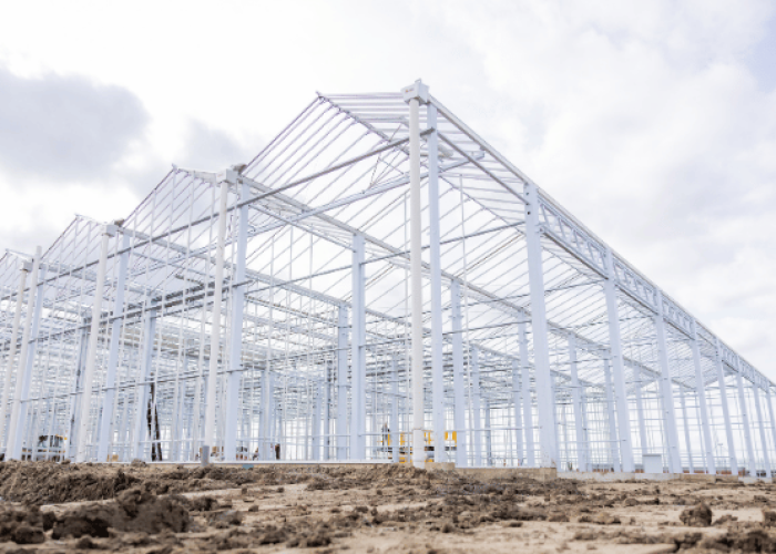 Atrium Agri combines forces of Bom Group and Havecon in new organization