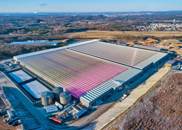 State-of-the-art greenhouse in extreme conditions for Little Leaf Farms